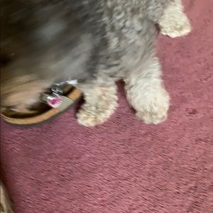 Meet your Posher, Jenna